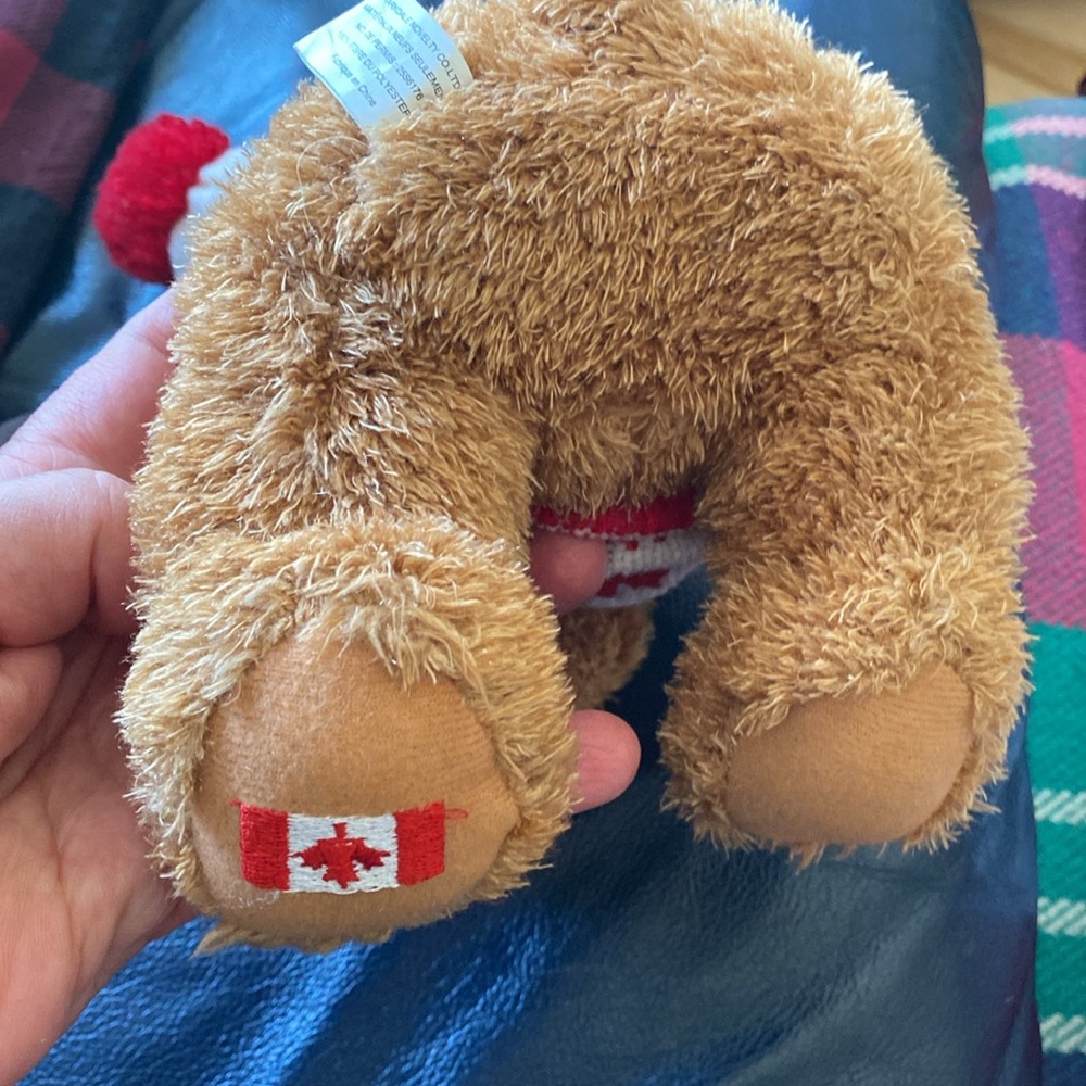 Canadian Moose Plush with Book - Picture 3 of 6